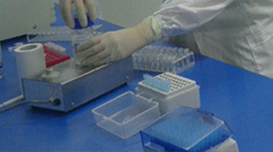 阜新怀孕怎么做亲子鉴定，在阜新怀孕做亲子鉴定适用人群