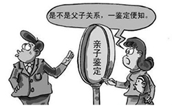 武汉去哪里做亲子鉴定，武汉亲子鉴定要如何办理
