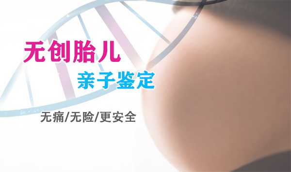 武汉胎儿亲子鉴定多少费用, 武汉胎儿亲子鉴定多少费用,