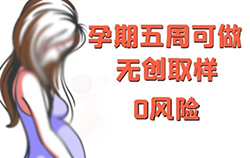 武汉怀孕几个月如何办理孕期亲子鉴定，武汉做无创怀孕亲子鉴定收费明细