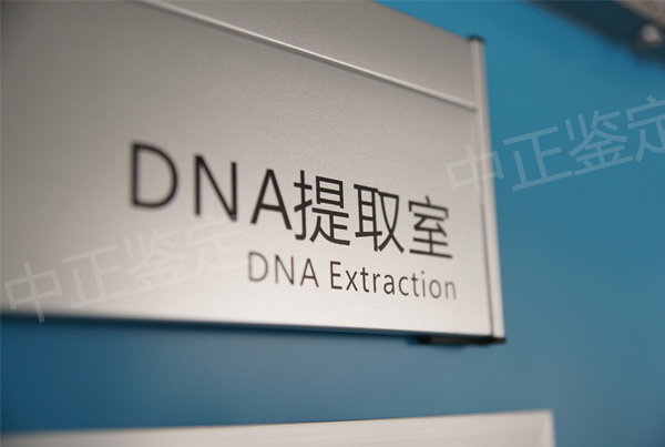 怀孕期间武汉如何做怀孕亲子鉴定,武汉做怀孕亲子鉴定结果准不准确