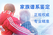 家族谱系（同一姓氏）鉴定